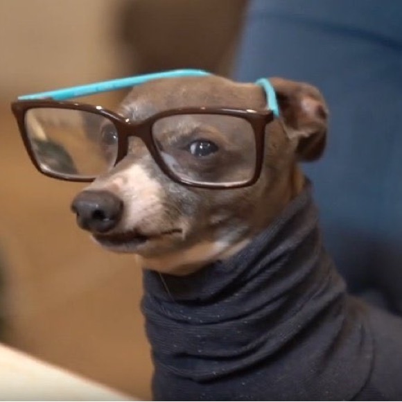 But will there be snacks? - Picture 14 of 16